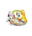 Fisher-Price Baby Gimnasio Etapas Crece Conmigo