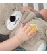 NUTRIA HORA DE DORMIR FISHER PRICE