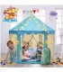 Carpa Castillo Princesa Con Luces Modelo Tul