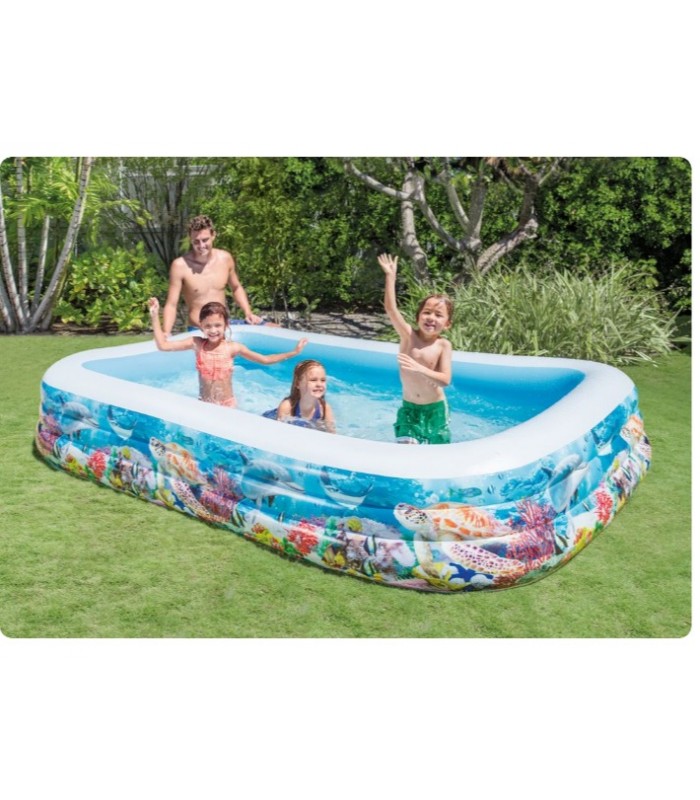 piscina inflable  peces intex 305 cm x 183 cm x 56 cm.