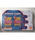 Flotador Para Brazos Flamingo. Amarillo Y Rosa