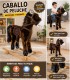 Balancín de Peluche